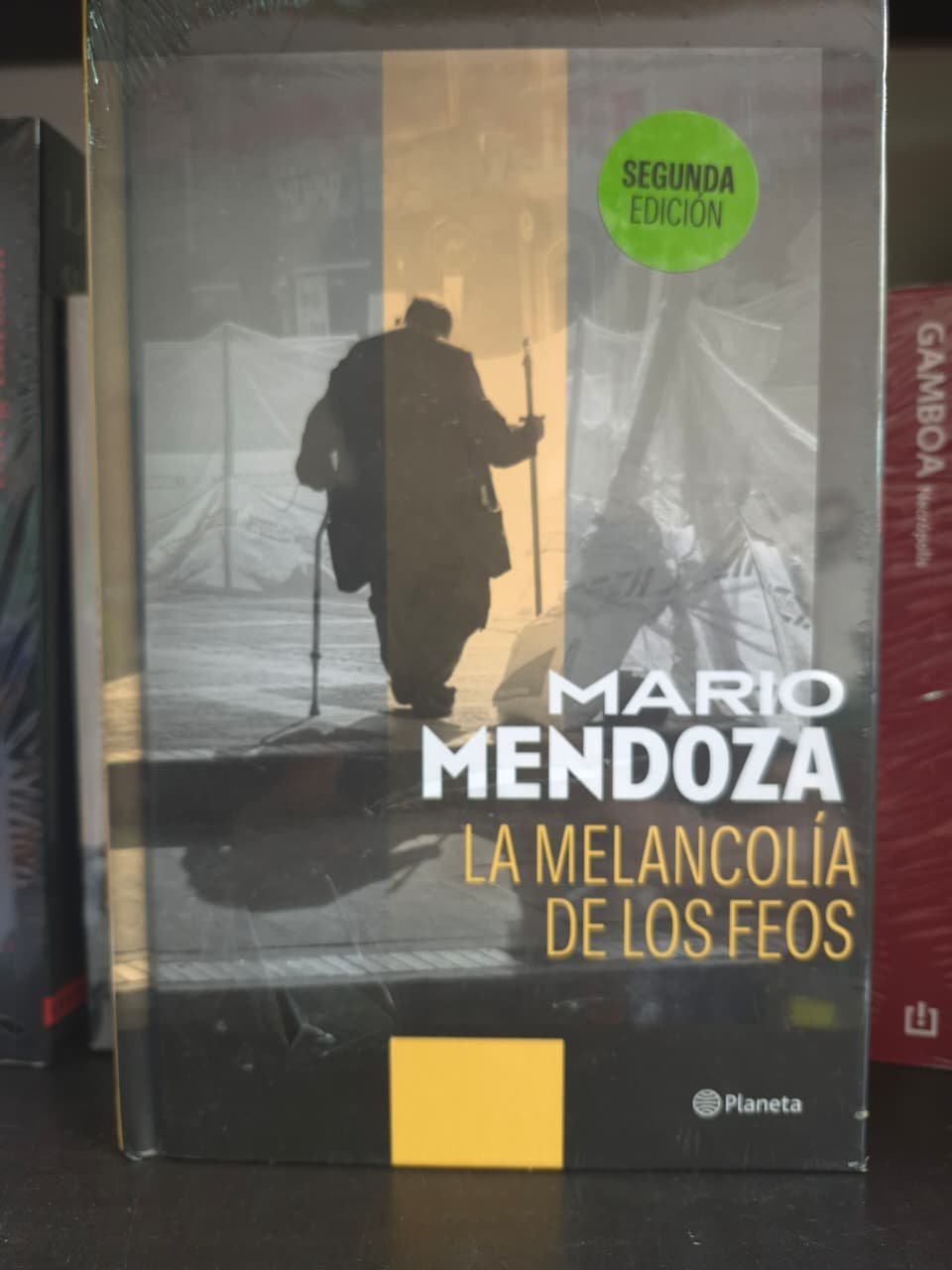 Mario Mendoza: La melancolía de los feos