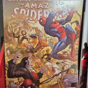 Universo Araña The Amazing Spider-Man Conclusión