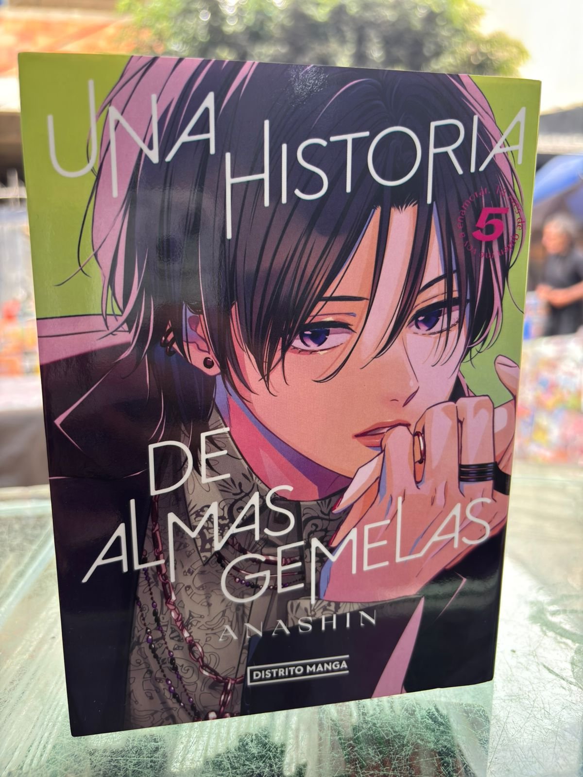 Una historia de almas gemelas Vol. 5 – Manga