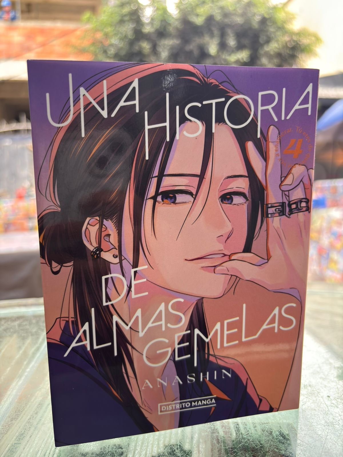 Una historia de almas gemelas Vol. 4 – Manga